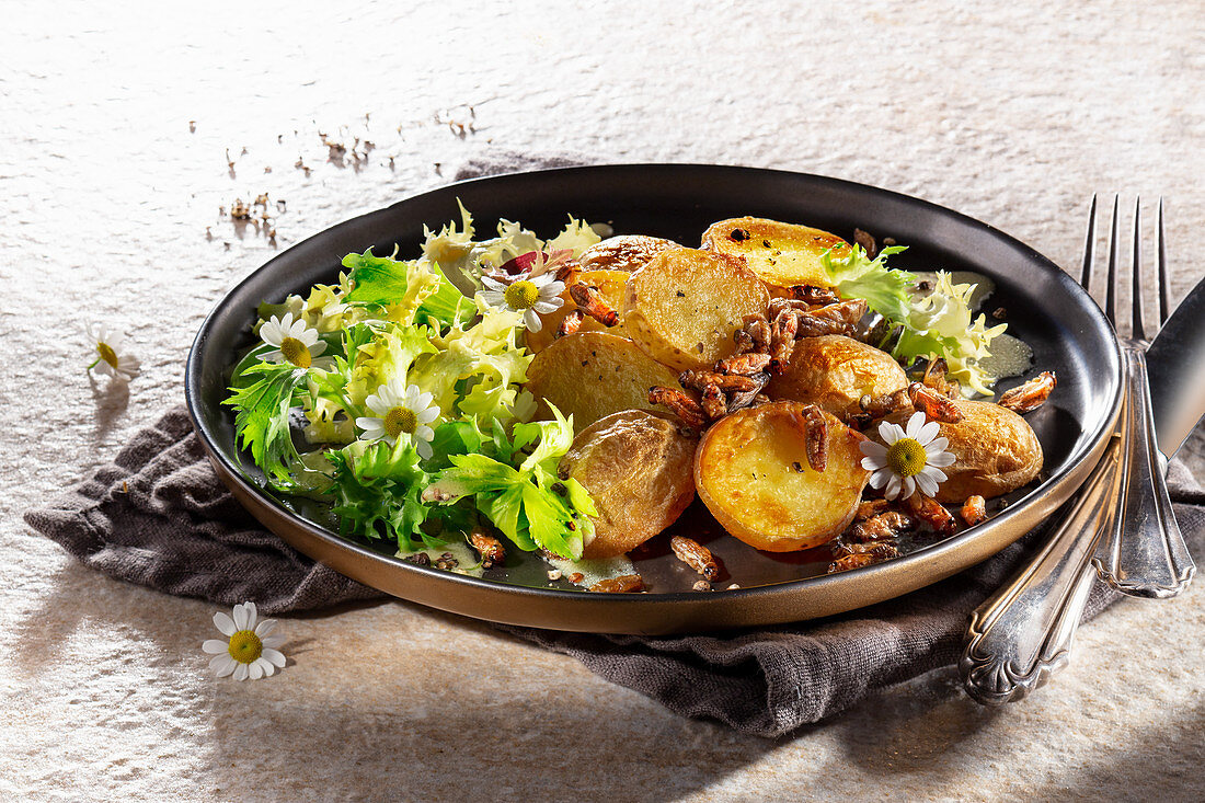 Röstkartoffeln mit Grillen und Salat