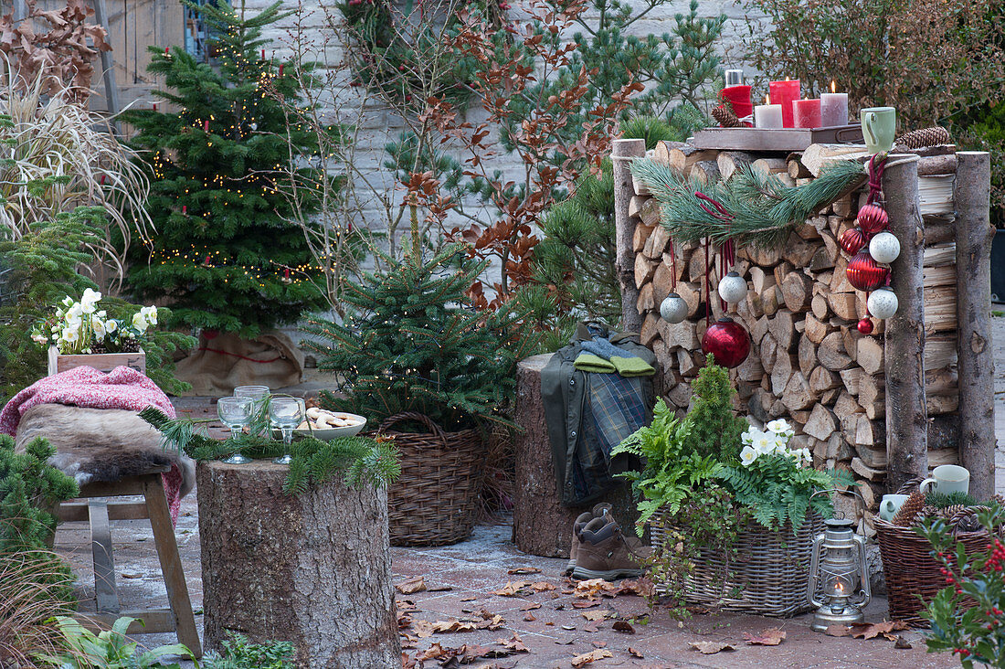Christmas terrace with Nordmann fir and Norway spruce as Christmas tree, firewood tray with Christmas tree balls and candles, basket box with sugar loaf spruce, fern and Christmas rose