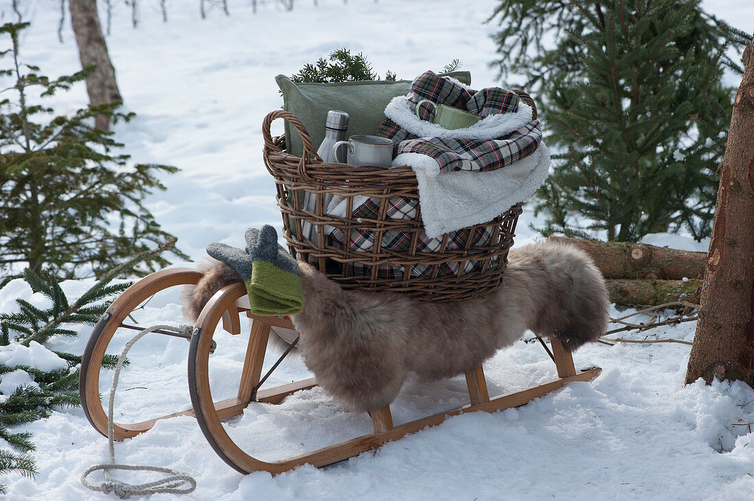 Basket with cups, thermos, blanket, and cushion on a sled with fur to sit on