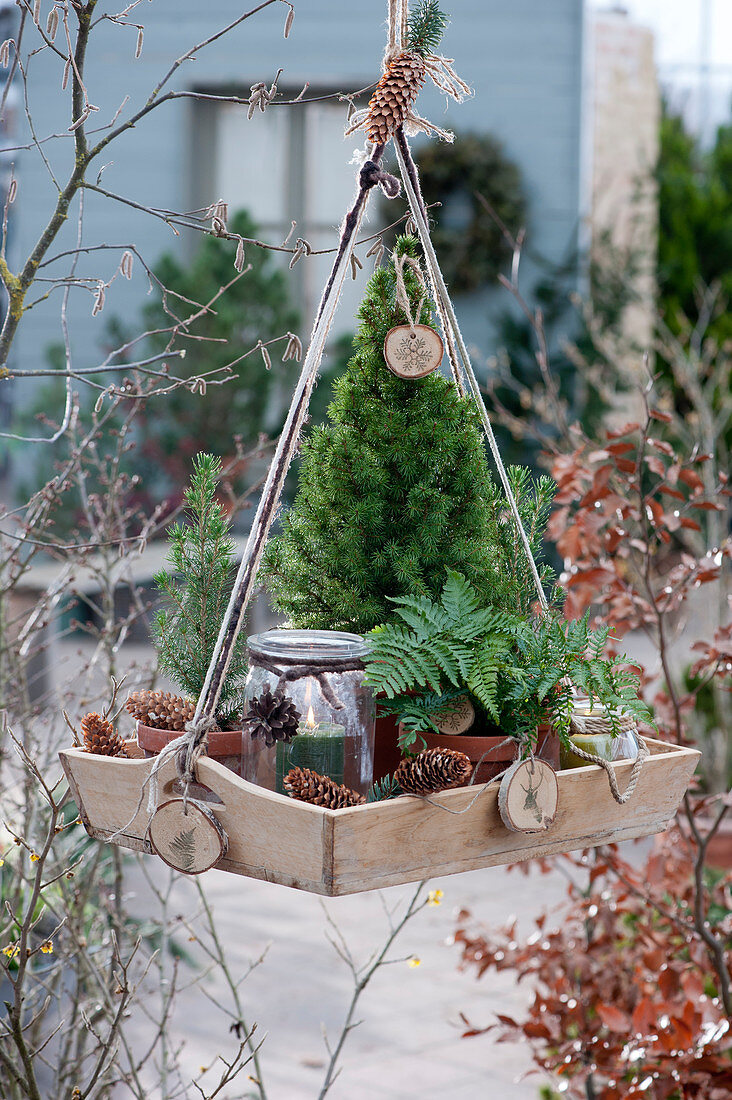 Hanging Christmas decorations on a wooden tray: sugar loaf spruce, worm fern, lantern, cones and homemade pendants made from wooden discs