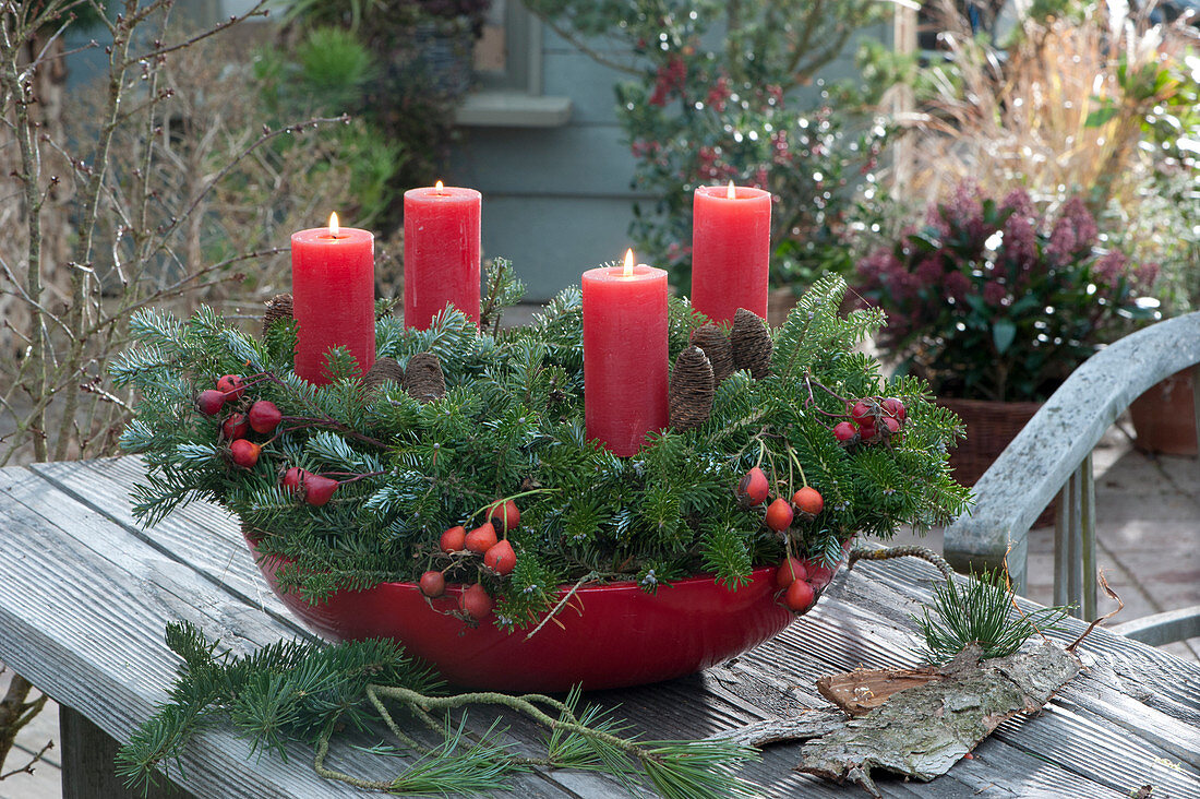 Advent wreath made from Korean fir with cones in a red bowl, red candles and branches with rose hips