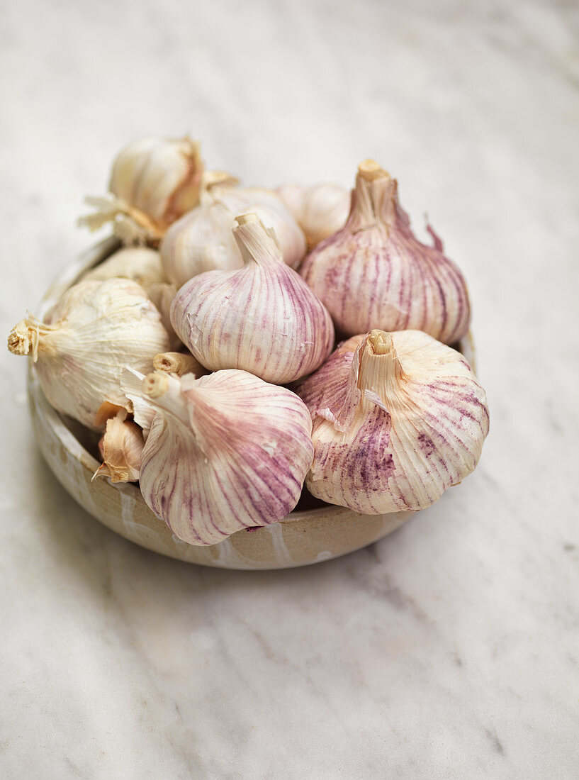 Garlic