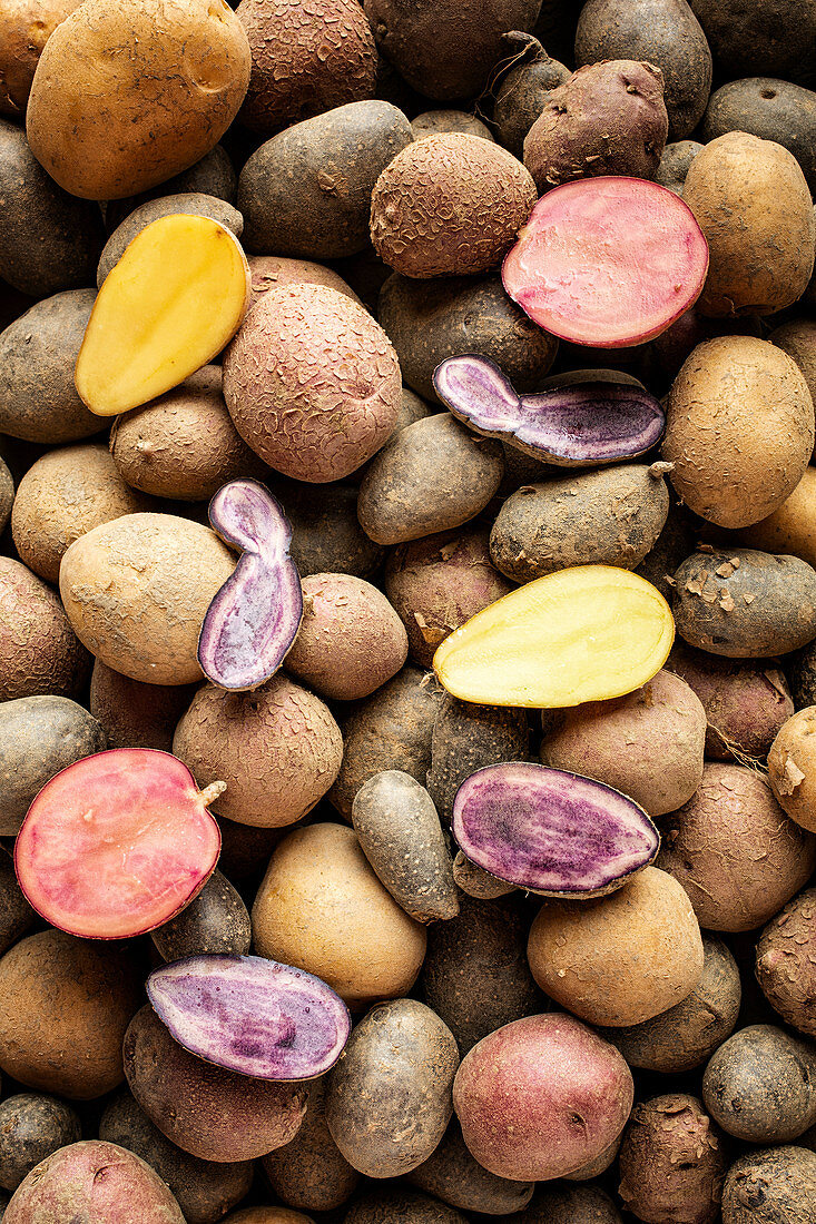 Kartoffeln verschiedener Sorten und Farben