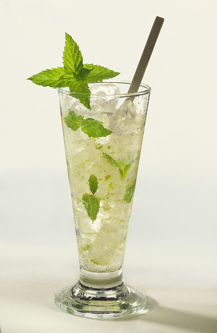 Mojito in tall glass with bar spoon