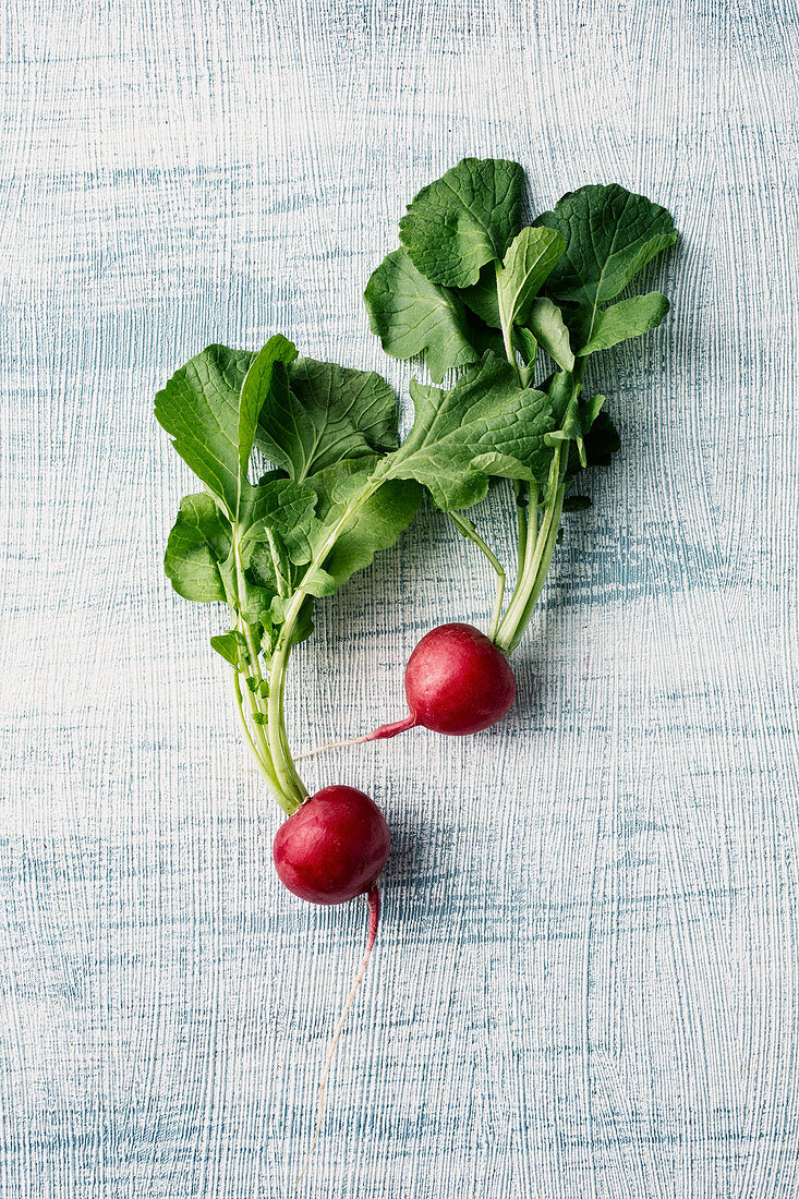 Fresh radishes with leaves