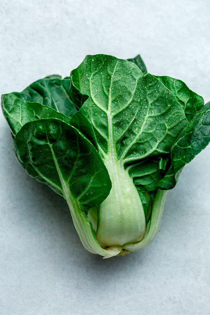 Bok Choi