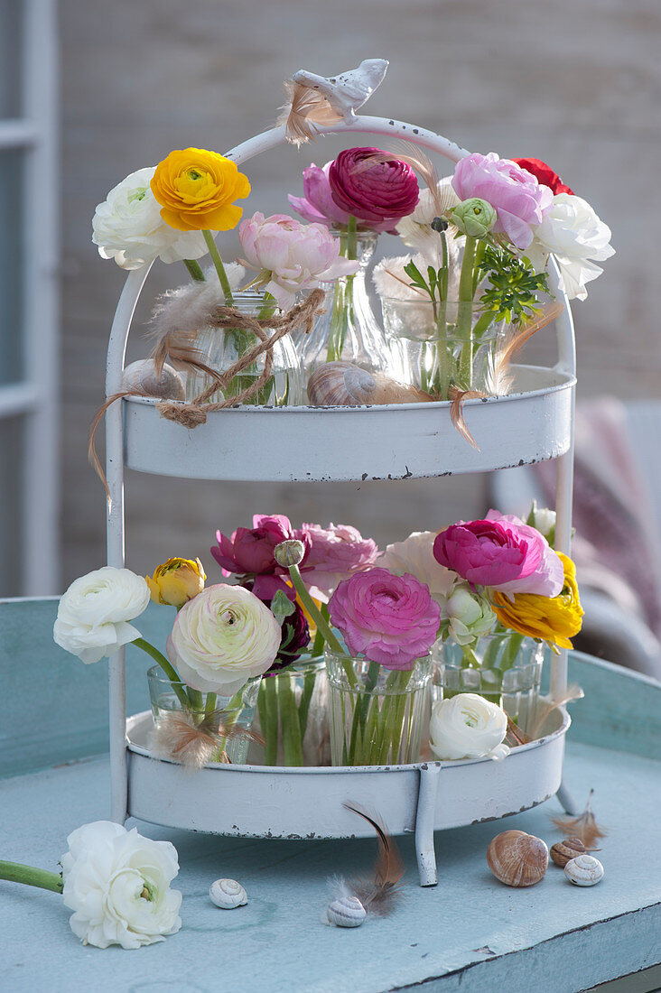 Spring decoration with ranunculus on a metal etagere, decorated with feathers and empty snail shells