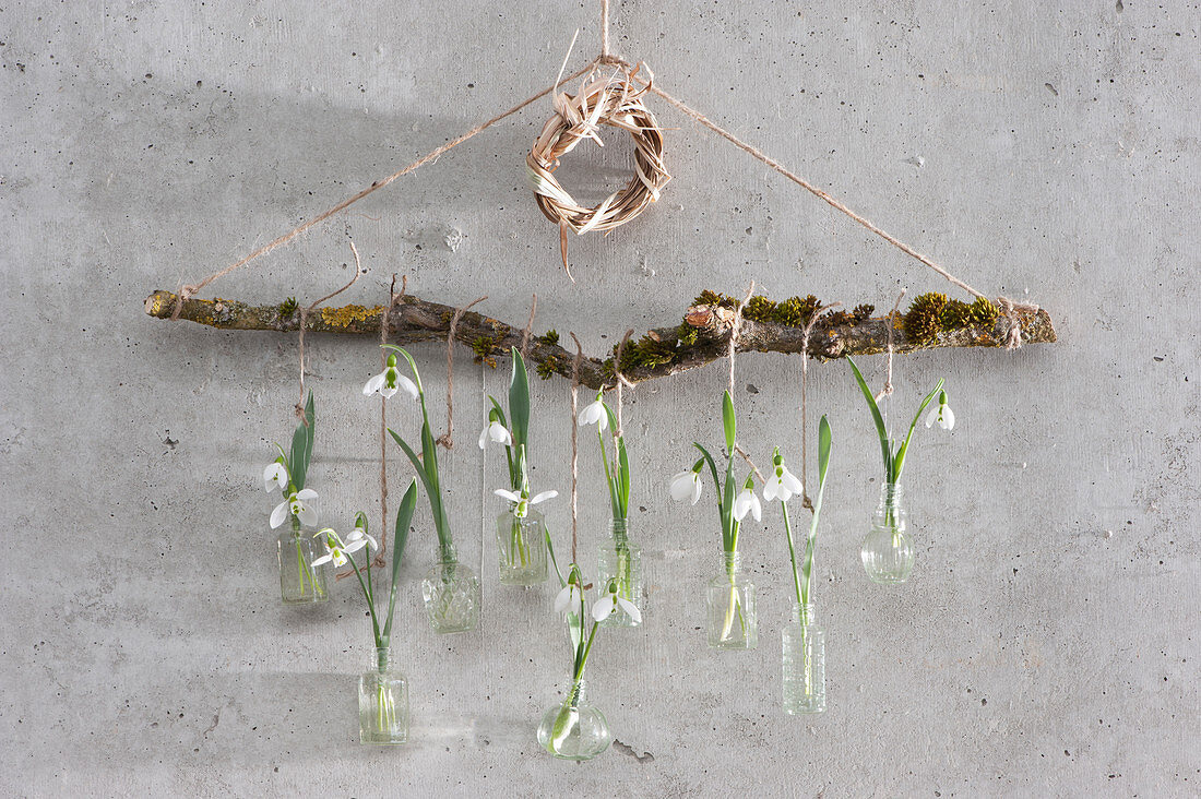 Hanging decoration in the conservatory with snowdrops in small vials on a branch, wreaths of grass