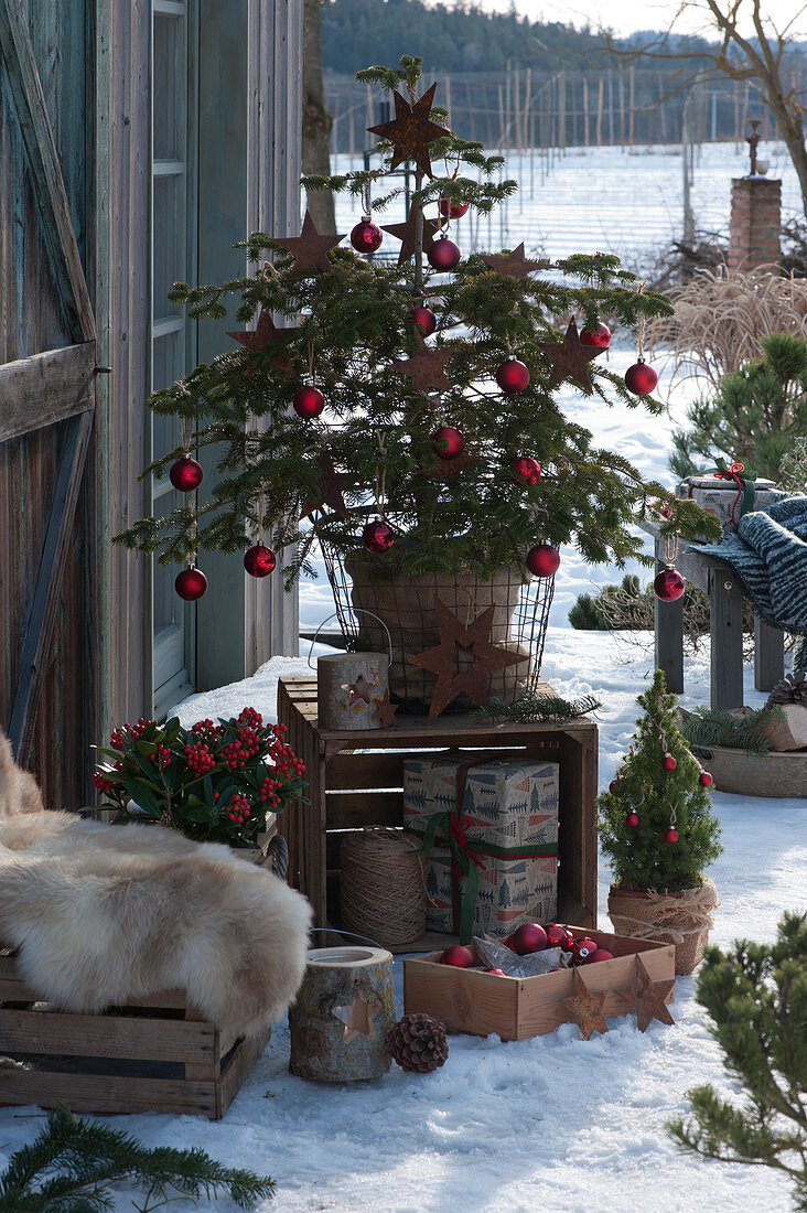 Christmas terrace with fir tree as Christmas tree, decorated with baubles and stars in wire basket placed on wine crate