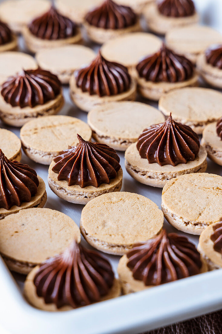 Macarons mit dunkler Schokoladenganache füllen