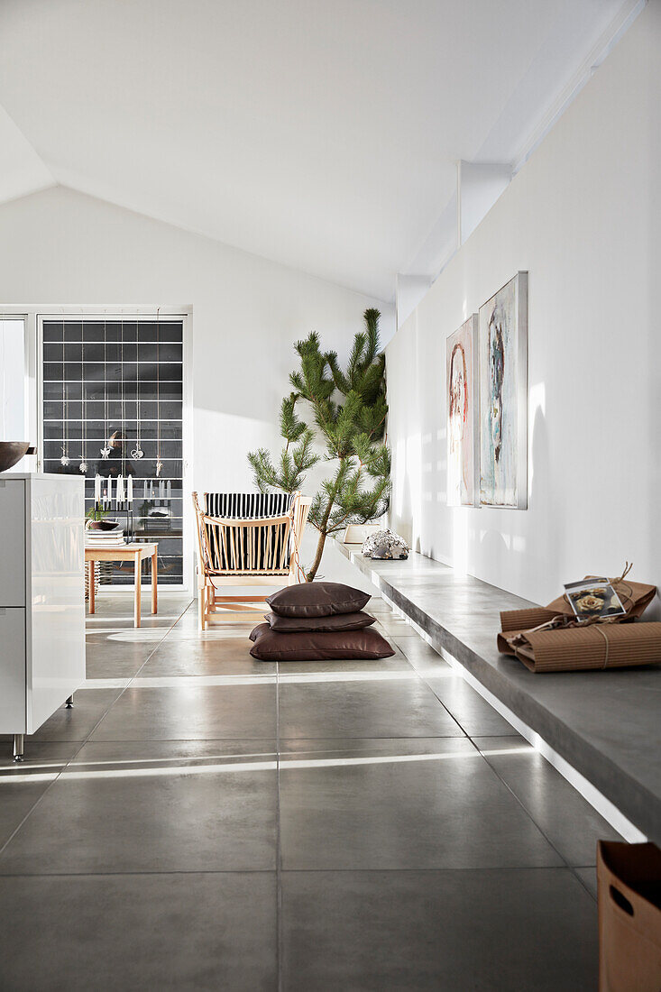 Long concrete countertops in am open living room with concrete tiles, spruce branch in background