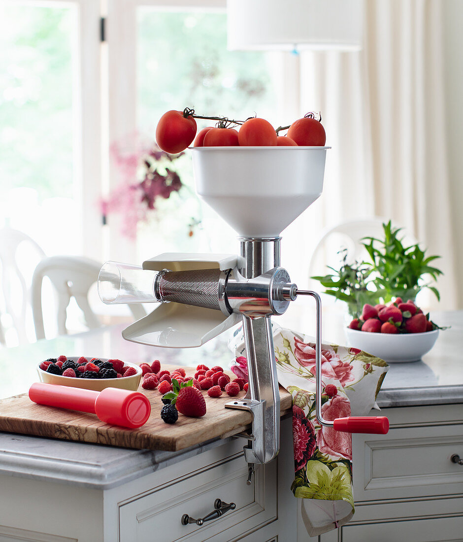 Sauce processer with tomatoes and berries