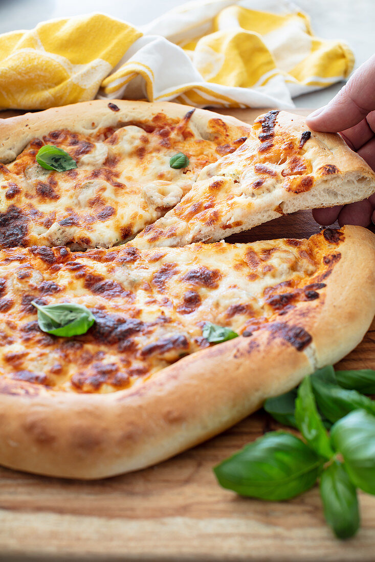 Käsepizza mit Basilikum
