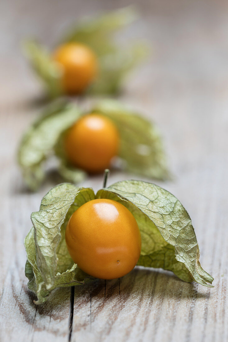 Physalis (Nahaufnahme)