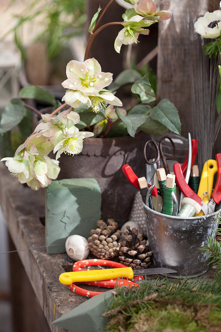 Crafting utensils and hellebores