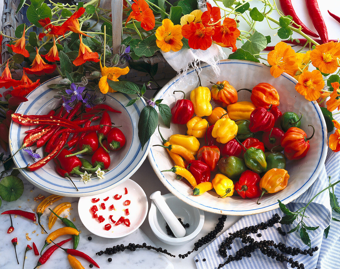 Different kinds of chilli, peppers, and nasturtium