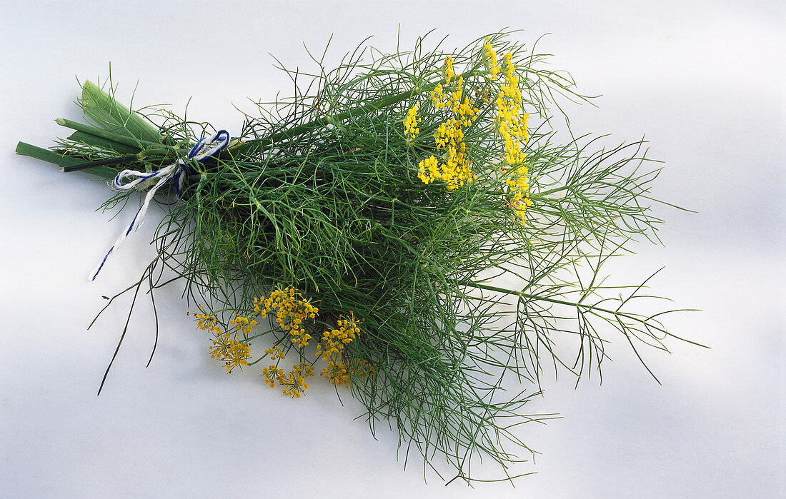 A bunch of fennel with a flower