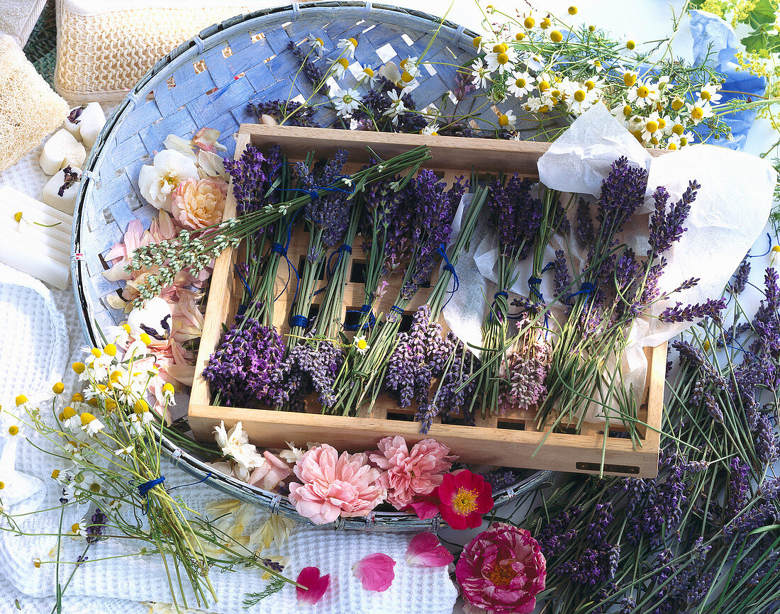 Scented herbs and roses - for aromatherapy
