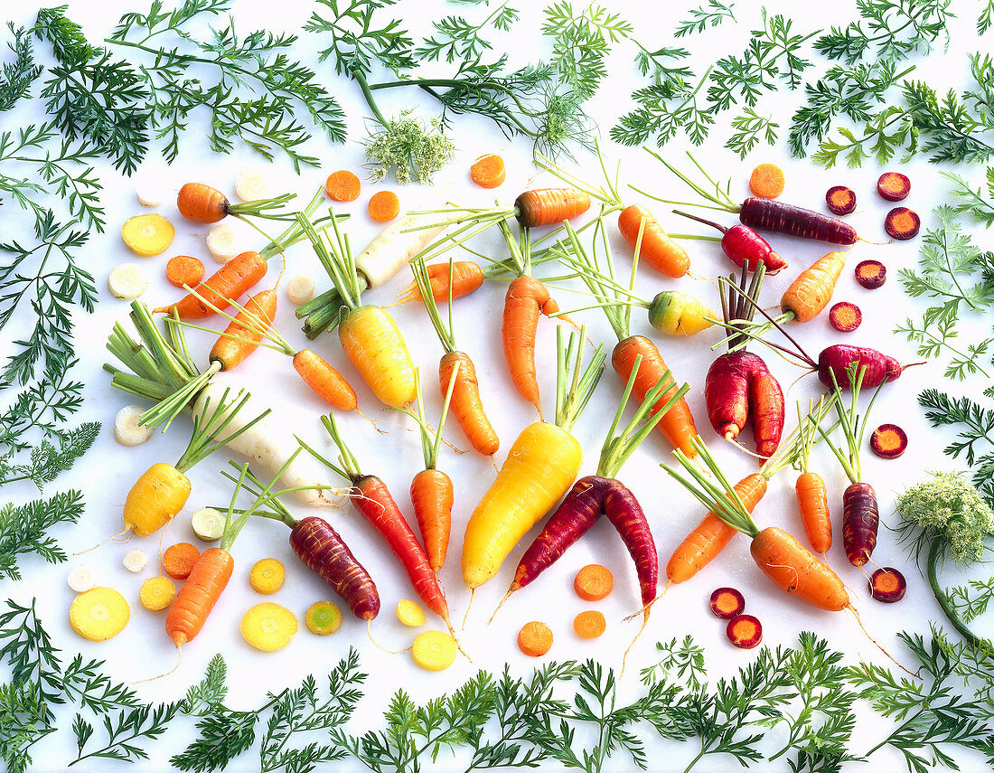 Various organically grown carrots