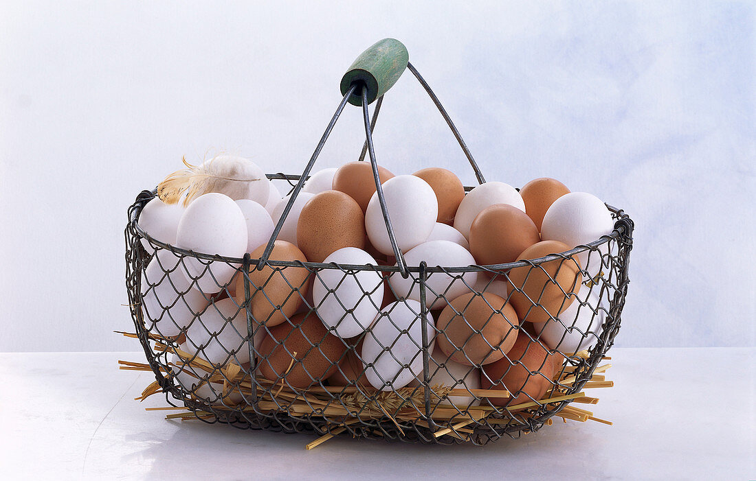 Metallkorb mit vielen weißen und braunen Eiern und Stroh