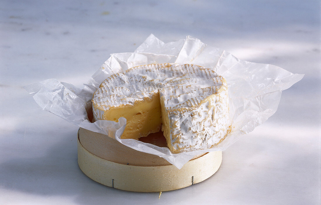 Trimmed camembert on a box with paper
