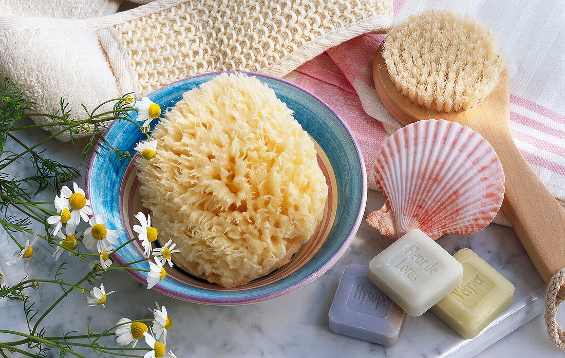 A spa arrangement featuring a bath sponge, a loofah, a brush, soap and a shell dish