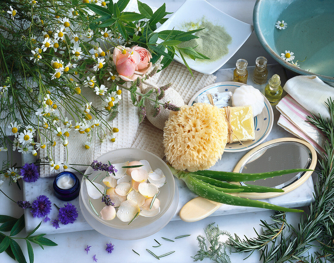 Wellness-Stillleben mit Badeschwamm, Loofah, Blüten, Spiegel