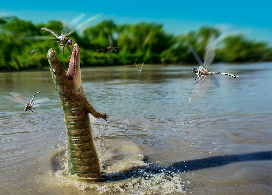Reptile hunting prehistoric giant dragonflies, illustration