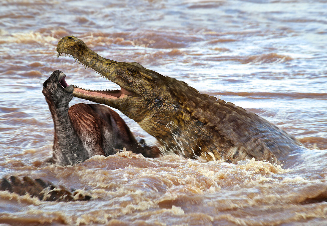 Sarchsuchus prehistoric reptile, illustration