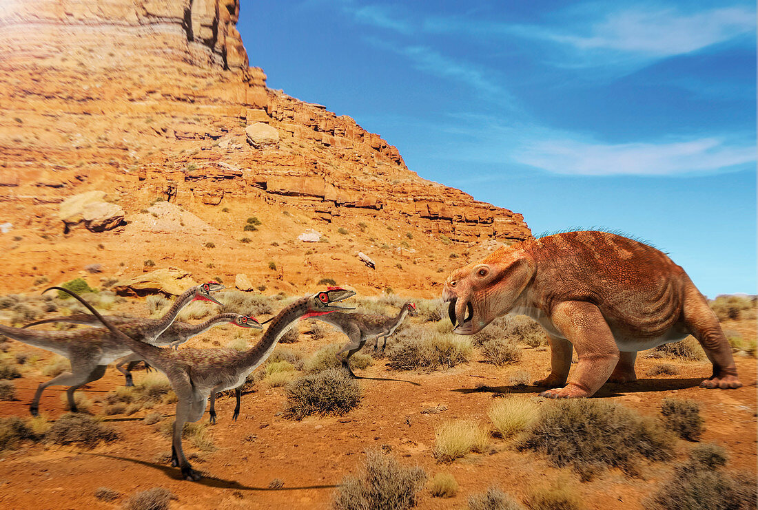 Herd of Camposaurus dinosaurs, illustration