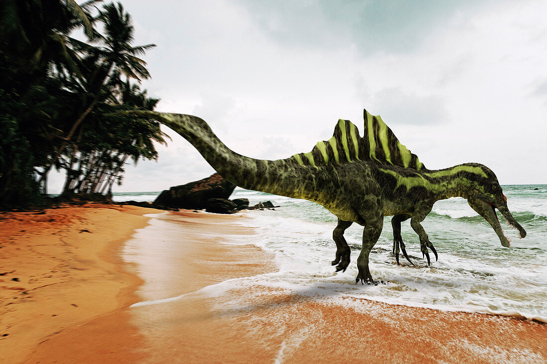 Ichthyovenator dinosaur, illustration