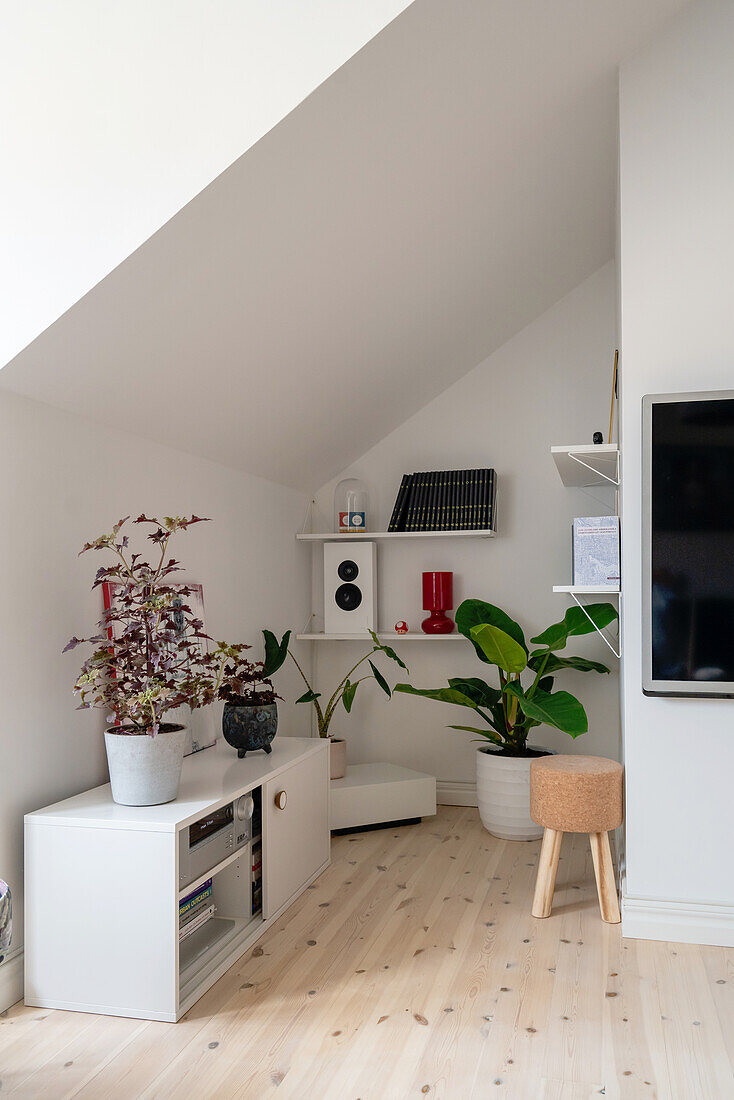 sideboard, shelves, and houseplants in a room with sloping roof