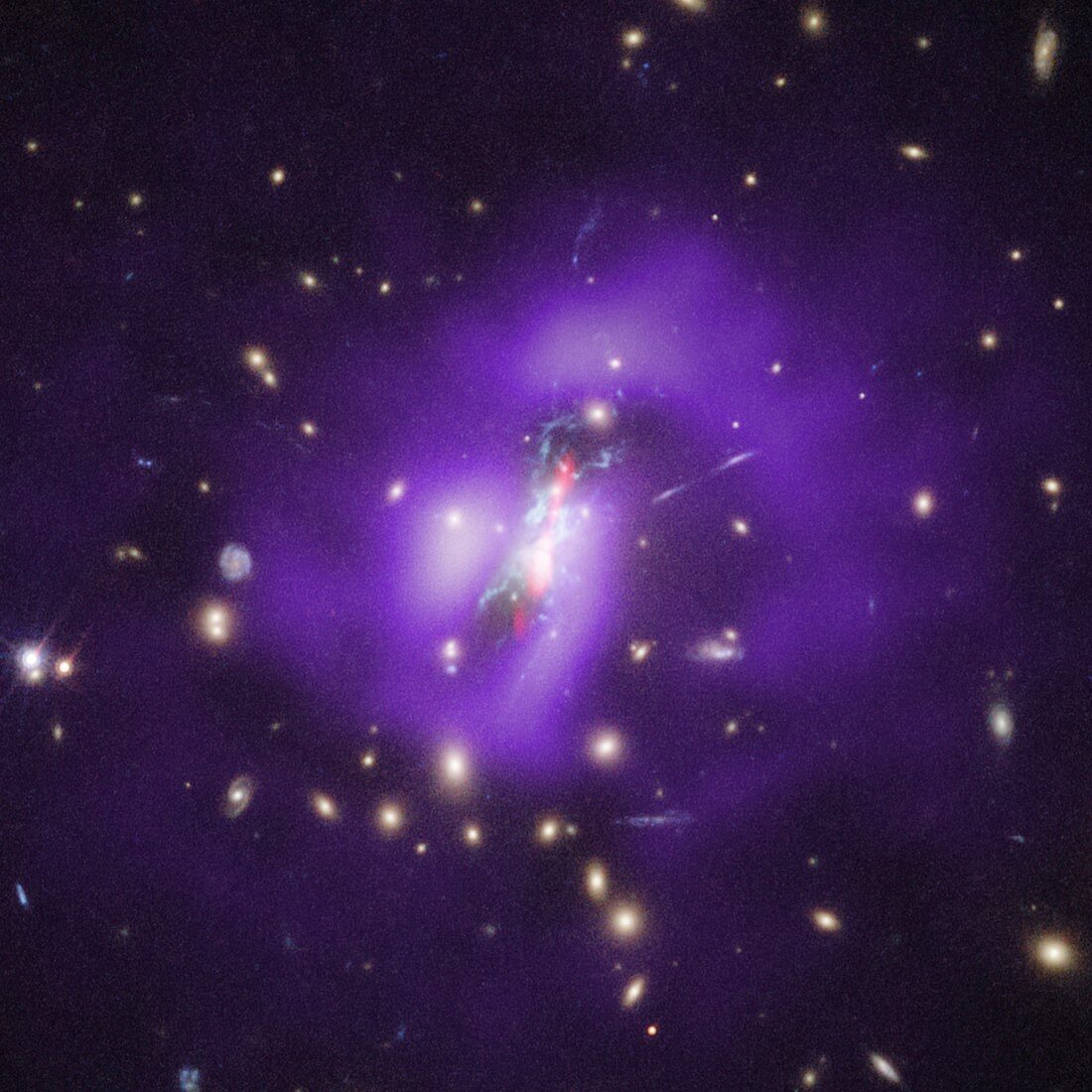 Phoenix galaxy cluster, Chandra and Hubble image