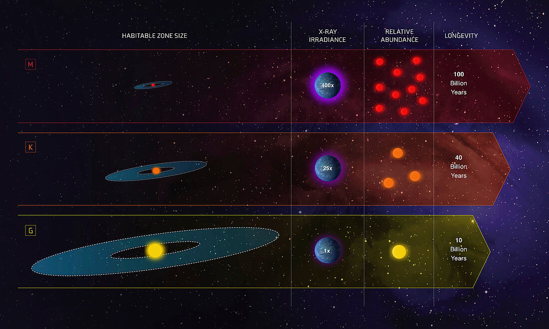 Habitable zones around different star types, illustration