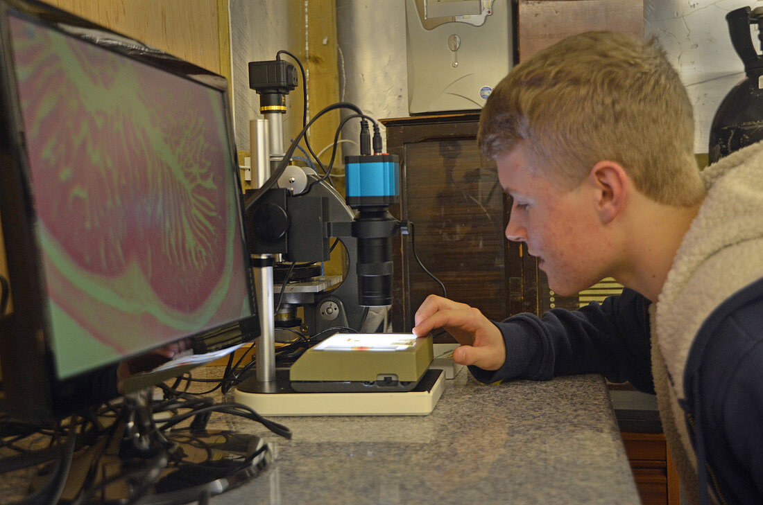 Teenager using a video microscope