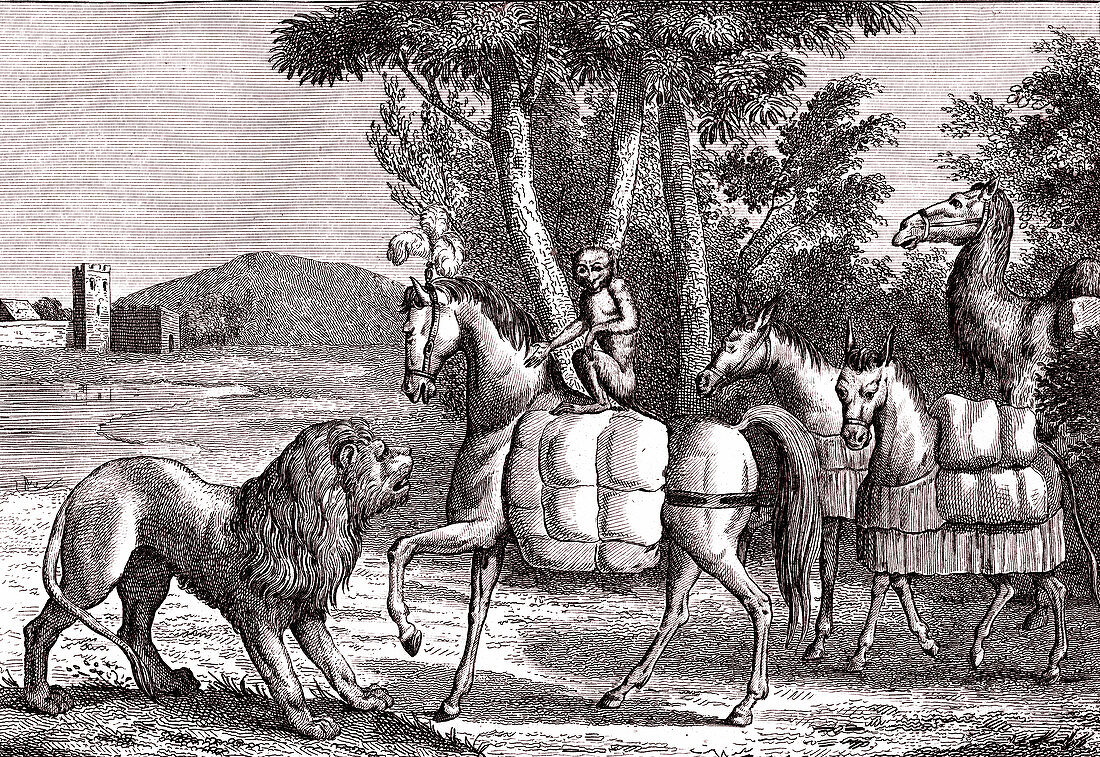 Animals Sending Tribute to Alexander, illustration
