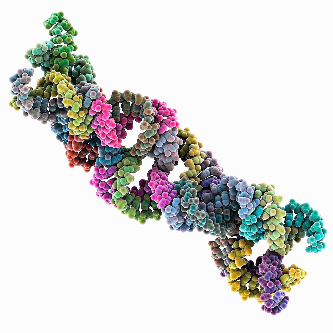 Plectonemic RNA supercoil, molecular model