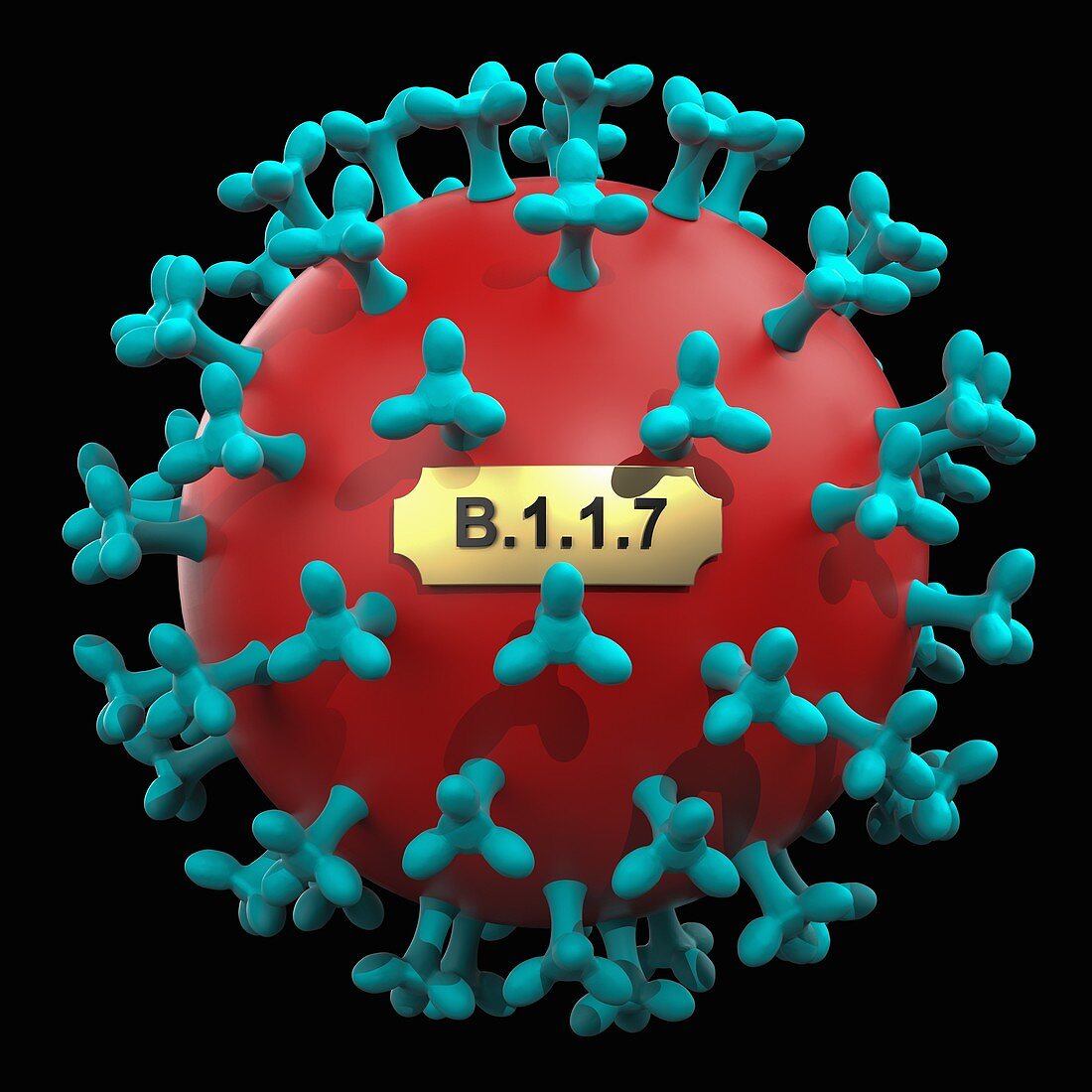 Coronavirus B.1.1.7 variant, conceptual illustration