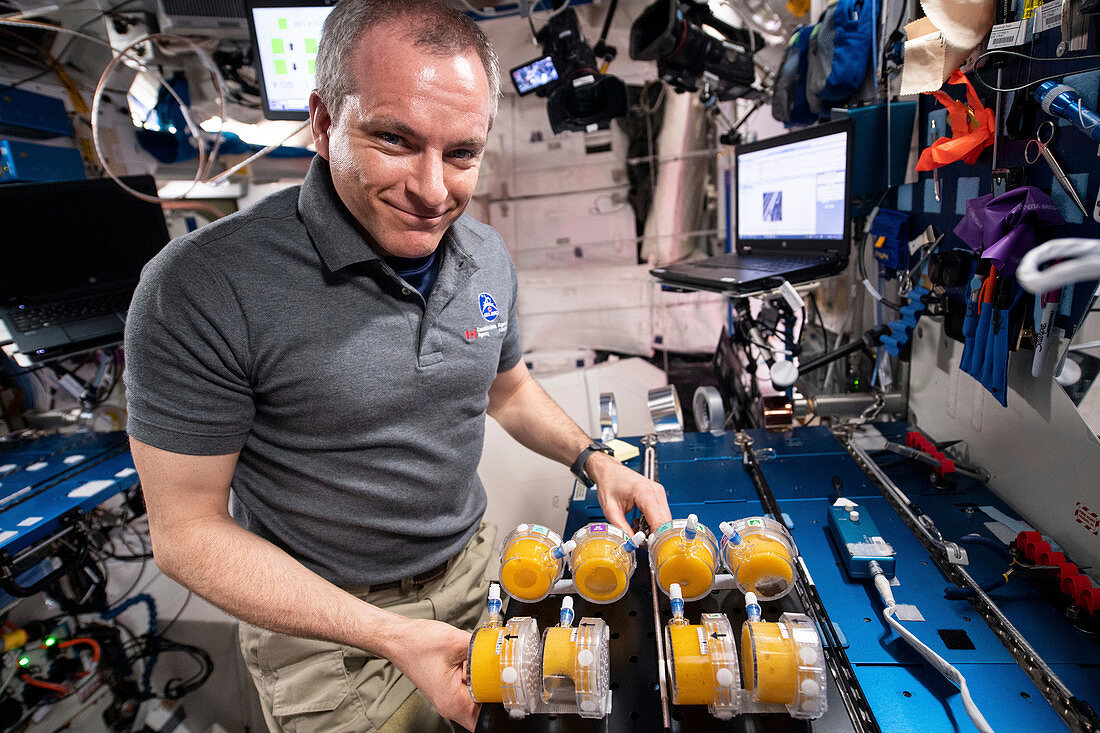 Astronaut with BioNutrients samples on the ISS