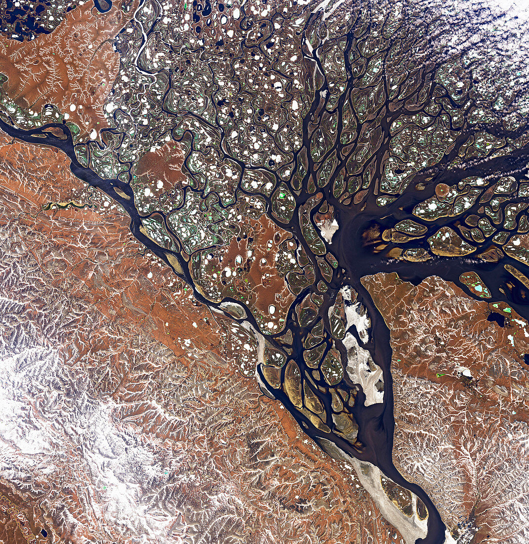 Lena river delta, satellite image