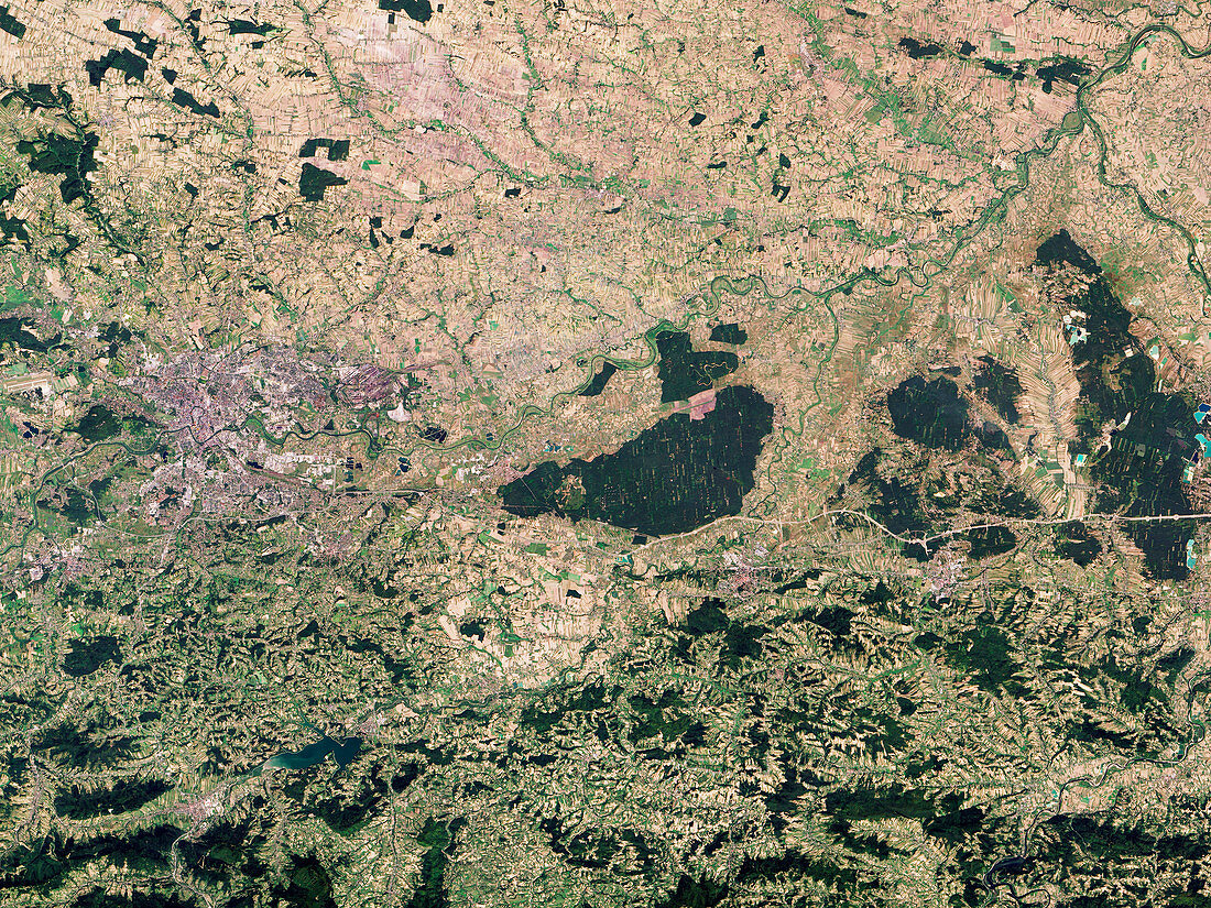 Niepolomice Forest, Poland, satellite image