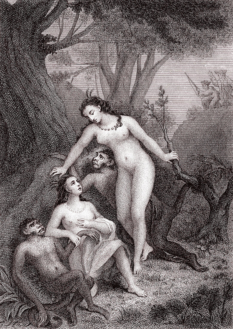 Scene from Voltaire's Candide, 19th century illustration