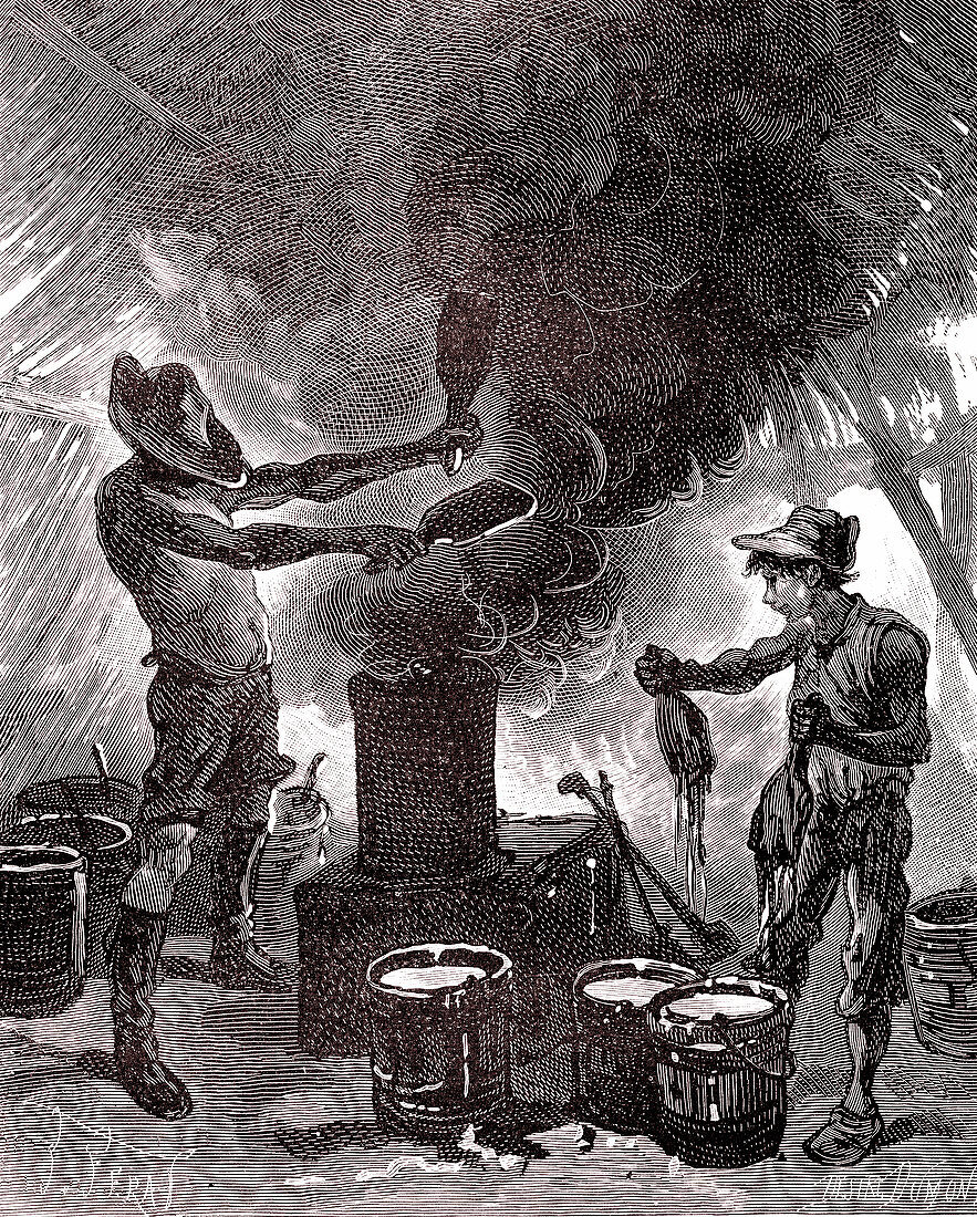 Brazilian rubber industry, 19th century illustration