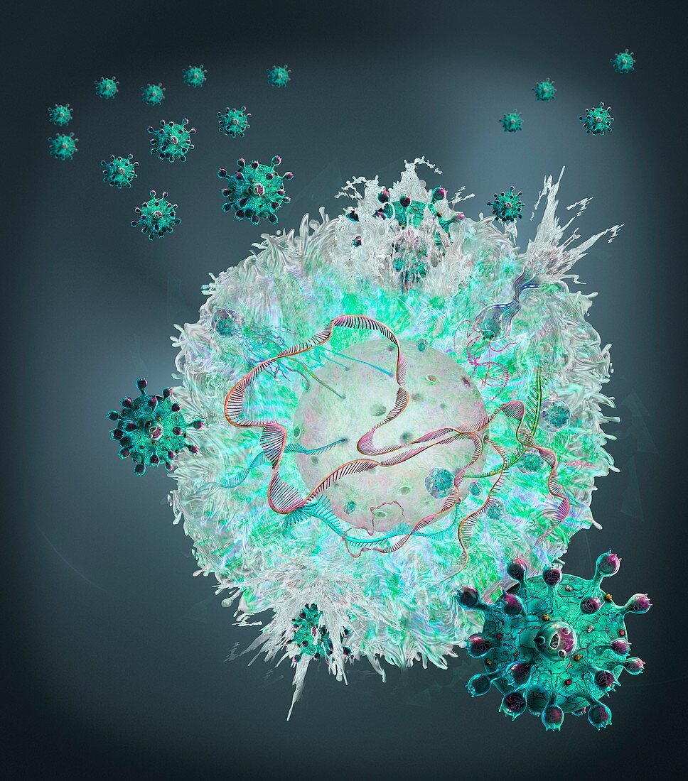 CAR T cell immunotherapy, illustration