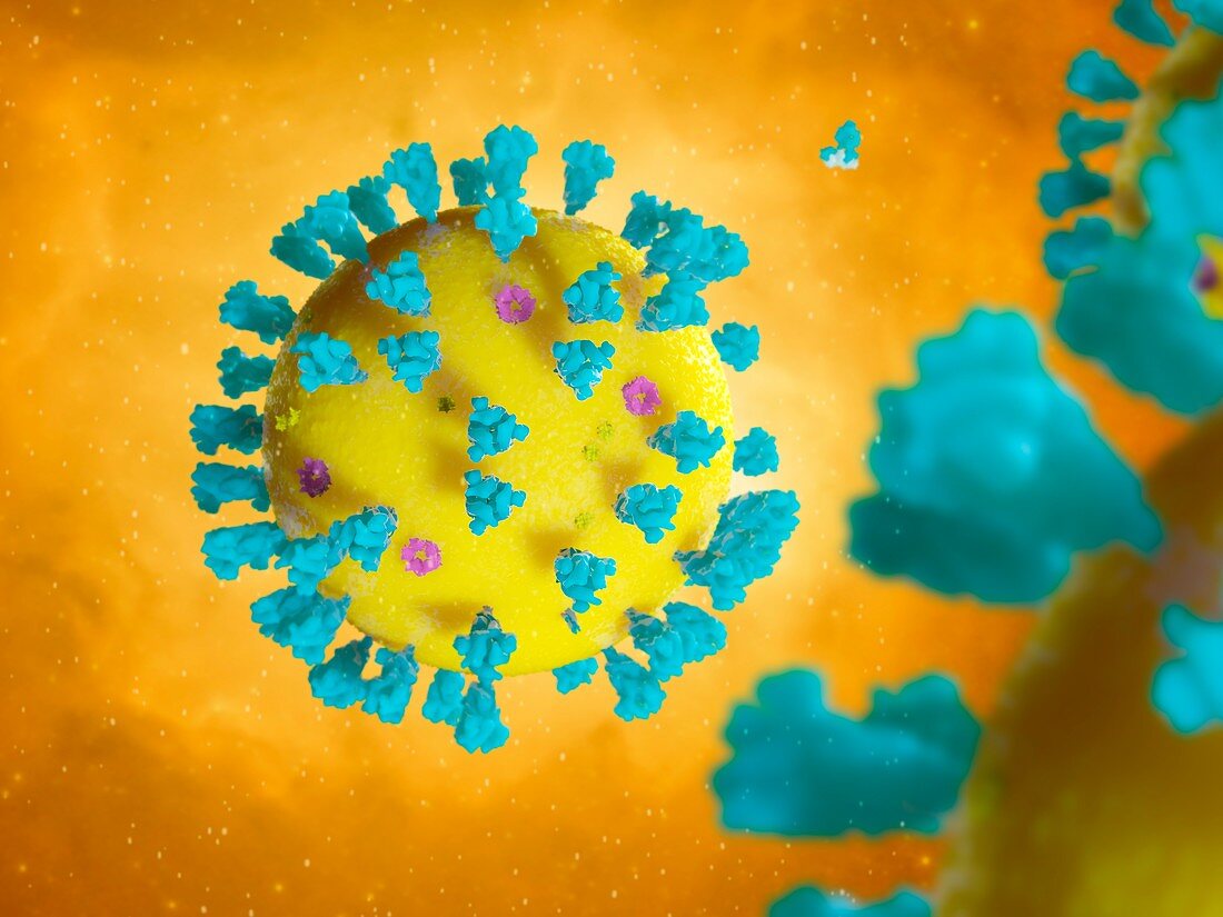 Covid-19 virus, illustration