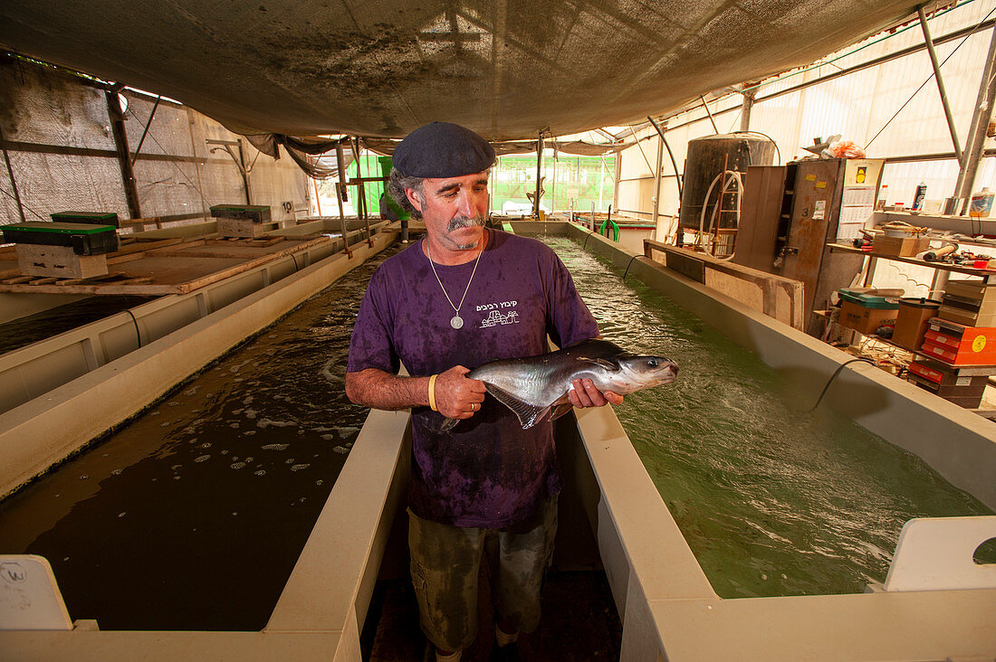 Fish farming, Israel