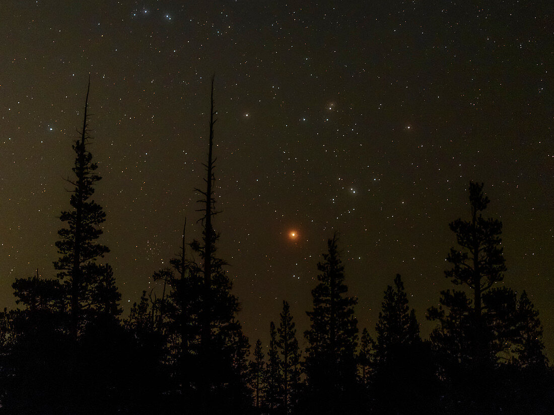 Hyades star cluster and Alderban
