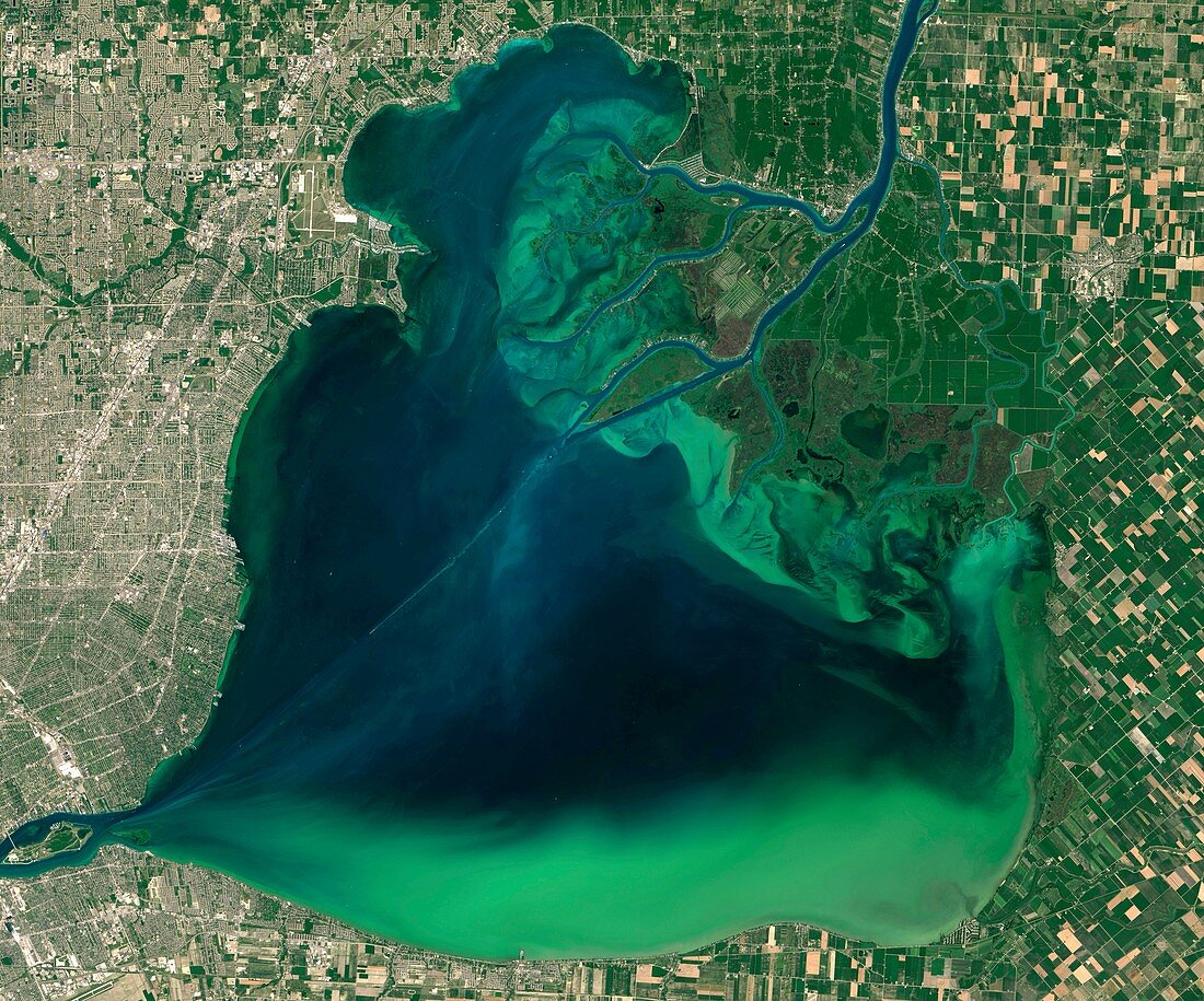 Algae bloom in Lake St Clair, USA, satellite image