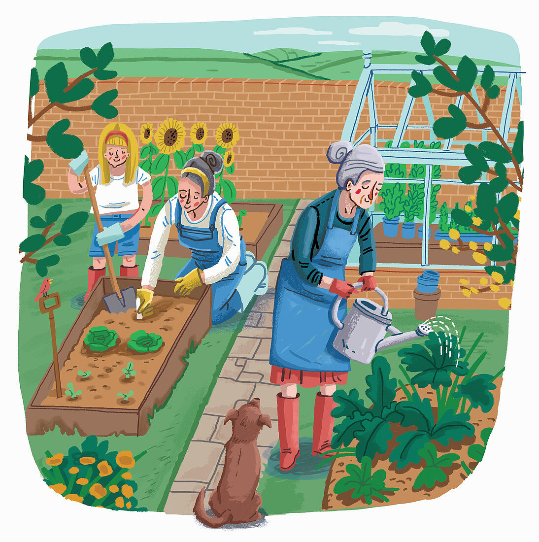 Women gardening together, illustration