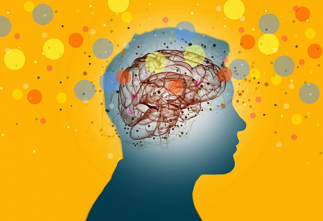 Brain activity, conceptual illustration